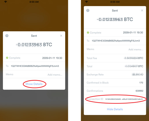 screenshots show a custodian’s Bitcoin transaction
